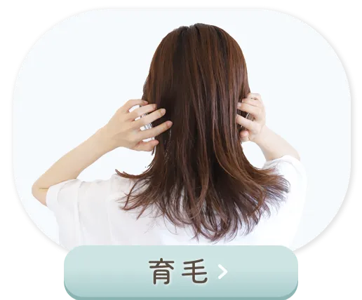 育毛ページへボタン